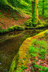 The Rigole de la Montagne Noire is an irrigation channel located in the Tarn department of France. It was built in the 19th century to supply water to the Canal du Midi, bringing water from the Montag