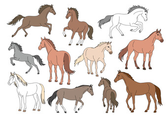 馬のイラストセットカラー