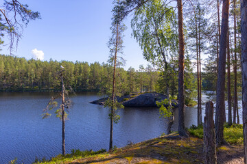 The lake and forest in Repovesi national park. Finland.