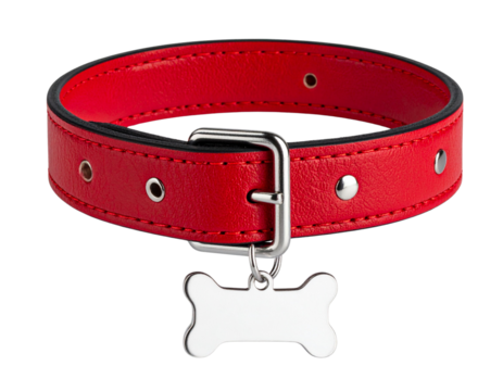 Dog Collar with Bone Tag, Transparent PNG