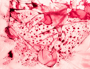 Vibrant Liquid Ink Abstract Backgrounds on Plastic Wrap
