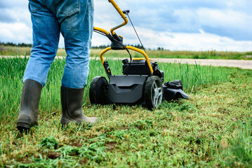 Obraz premium Gardener mowing green grass with yellow lawn mower in garden during summer day.