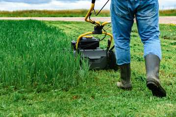 Gardener mowing green grass with yellow lawn mower in garden during summer day.