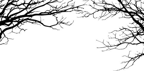 Obraz premium Silhouetted black tree branches against a winter sky, perfect for a nature illustration