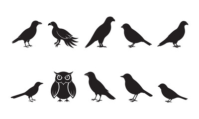 Bird silhouette vector illustration.