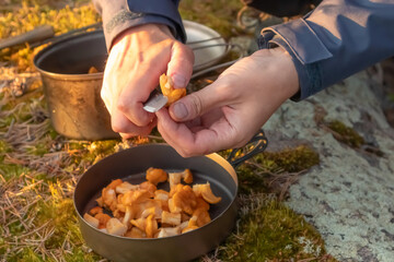 Handling mushrooms outdoor. Preparing freshly foraged chanterelle mushrooms for outdoor cooking in a forest setting.