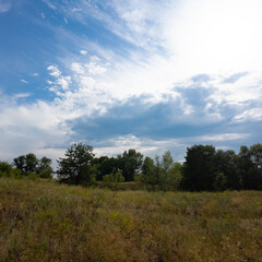 Obraz premium Landscape pine forest and beautiful sky. Field and forest. Clouds in the sky against the background of a pine forest. Natural landscape.