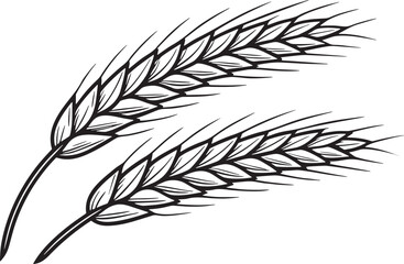 Golden Wheat: A detailed illustration of two stalks of golden wheat, symbolizing harvest, agriculture, and the bounty of nature.