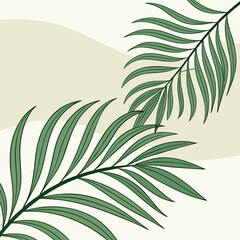 Obraz premium palm tree leaves vector 