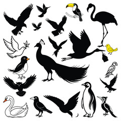 Bird Silhouettes and Illustrations