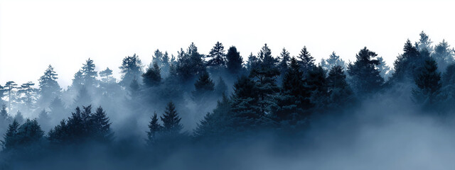 Misty forest silhouettes create atmospheric landscape with layered tree formations.