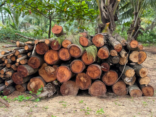 Piled up wooden logs with greenery at the background