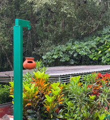 Hanging pots in a garden for birds to drink water.
