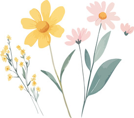 Watercolor Floral Illustration with Yellow and Pink Flowers on White Background
