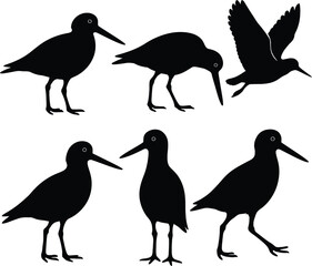 oystercatcher silhouette, bird silhouette, coastal bird vector, seabird silhouette, oystercatcher black icon, shorebird silhouette, wading bird silhouette