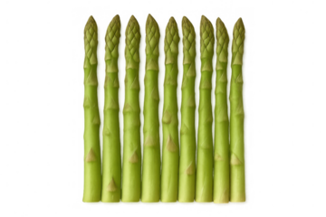 Fresh asparagus spears lined vertically, showcasing green vegetable against clear backdrop