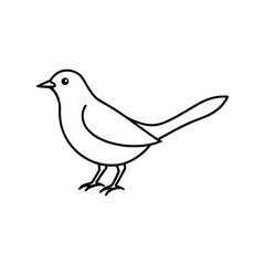 A nyssa line art vector illustration.