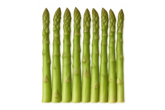 Fresh asparagus spears lined vertically, showcasing green vegetable against clear backdrop