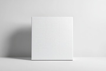 Blank white rectangular box on a plain white background