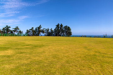lawn on the cliff at the seaside
