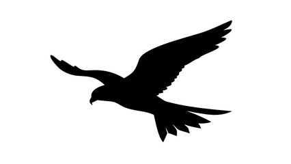 Obraz premium Black Falcon Flying Silhouette