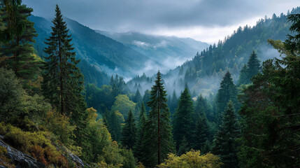 Fototapeta premium Mystical Mountain Forest: A panoramic view of a vast forest of verdant trees. Enveloped in a misty haze. It inspires a sense of serenity and the mysteries of the wilderness.