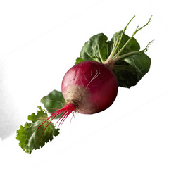 Fresh Red Radish with Green Leaves Isolated on Transparent Background