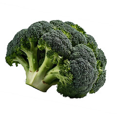 Fresh Green Broccoli Floret Isolated on Transparent Background


