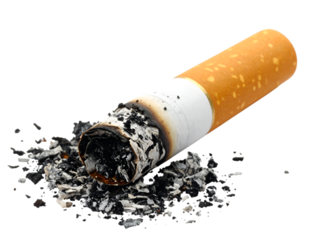 Extinguished: A close-up shot features a discarded, extinguished cigarette, emphasizing its burnt tip and scattered ash, offering a stark visual commentary on the impact of smoking.