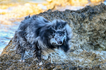 HRV, Kroatien, Brac, Insel in Dalmatien, Milna