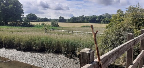 Little tidal stream waik