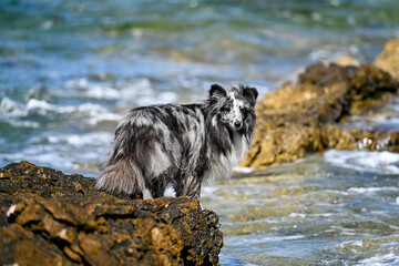 HRV, Kroatien, Brac, Insel in Dalmatien, Milna