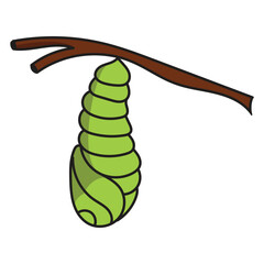 cocoon design vector isolated on white