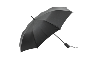 A stylish black umbrella with a sleek design, perfect for rainy or sunny days.