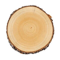 Fototapeta premium Natural wood slice with bark isolated on transparent background