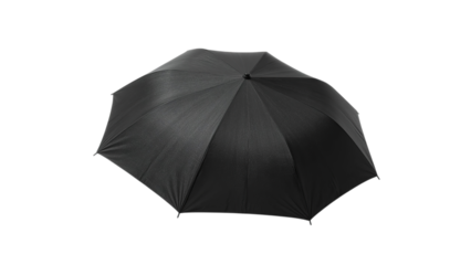 A sleek black umbrella with a smooth texture, ideal for rainy days or stylish protection from the sun.