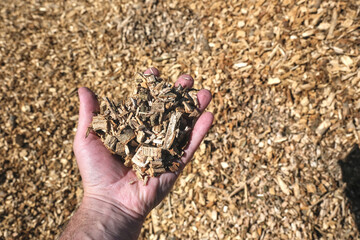 Close-up of a hand holding wood chips with a large pile in the background, perfect for biofuel,...
