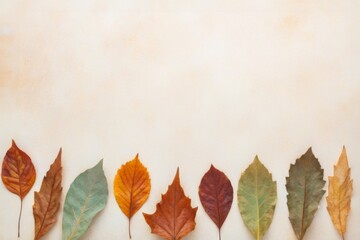 Bunte Herbstblätter in einer Reihe am unteren Rand auf hellem Hintergrund – perfekt für saisonale Designs mit Textfreiraum. Generative KI