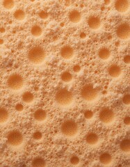 Terracotta Sponge Texture Detail
