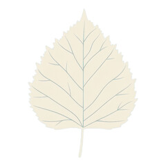 Detailed Outline of a Leaf Displaying Natural Textures and Patterns