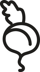 Turnip Vegetable vector illustration with Green leaves