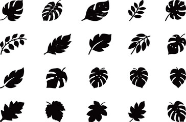 Fototapeta premium Assortment of Black Tropical Leaf Silhouette Icons.