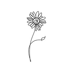 Minimalist White Daisy Flower Line Art Illustration