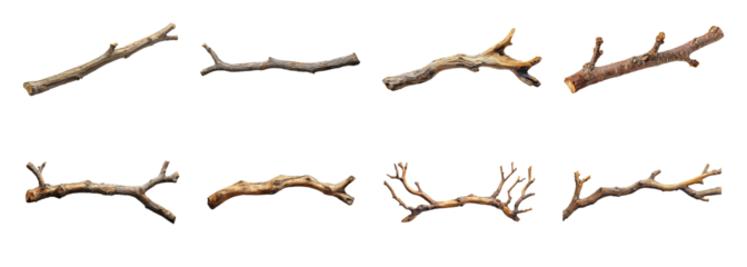 Rustic dry wooden branch collection set, isolated on transparent background. PNG