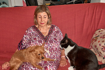 An elderly woman shares a sofa with her small ginger dog and her large black cat in a warm, homey atmosphere.