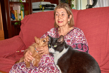 An elderly woman shares a sofa with her small ginger dog and her large black cat in a warm, homey atmosphere.