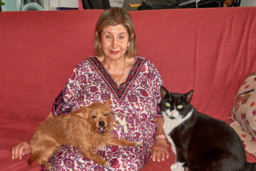 An elderly woman shares a sofa with her small ginger dog and her large black cat in a warm, homey atmosphere.