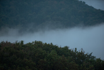 Morning mist amidst the valley