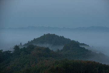Morning mist amidst the valley