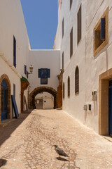 paseo por la medina de essaouira en Marruecos